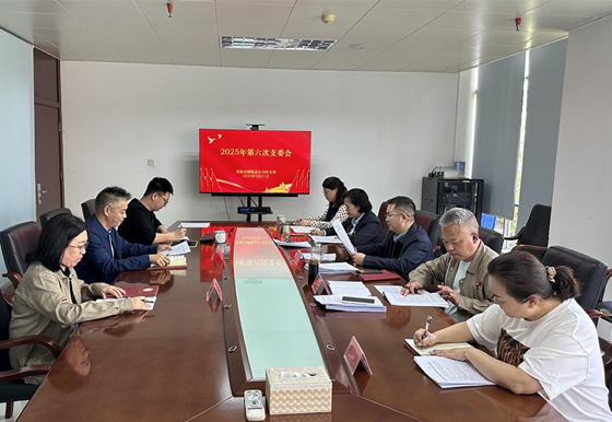 每月一学习|买球-买球(中国)龙狮瓶盖公司党支部深入学习贯彻2025年全国两会精神